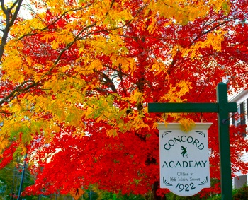Concord Academy Tree